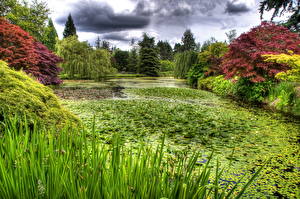 Hintergrundbilder Garten Teich  Natur