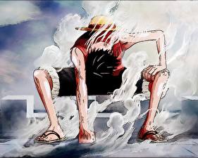 Fonds d'écran One Piece Adolescent Anime