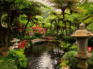Desktop hintergrundbilder Garten Teich  Natur