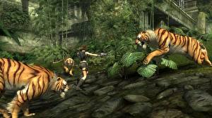 Bakgrunnsbilder Tomb Raider