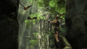 Картинки Tomb Raider Лара Крофт Девушки