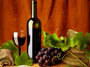 Desktop wallpapers Drinks Wine Bottle Food