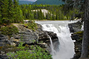Bakgrundsbilder på skrivbordet Ett vattenfall Kanada Jaspers nationalpark athabasca falls Natur