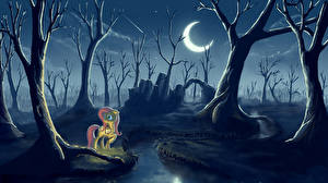 Bakgrunnsbilder My Little Pony: Vennskap er ren magi Gothic Fantasy Halvmåne Månen Trær