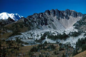 Bakgrunnsbilder Park Fjell Amerika Mount Rainier nasjonalpark Washington