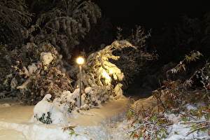 Sfondi desktop Stagione Inverno Neve Lampioni Notte Natura