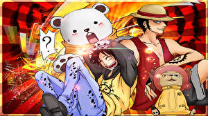 Fonds d'écran One Piece Mec