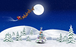 Pictures Holidays Christmas Vector Graphics Sky Christmas tree Snow Moon Night time
