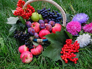 Bureaubladachtergronden Stilleven Fruit Appels Druiven Pruimen Gras Manden Een blad spijs