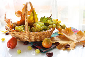 Desktop hintergrundbilder Obst Weintraube Stillleben Weidenkorb Blattwerk Lebensmittel