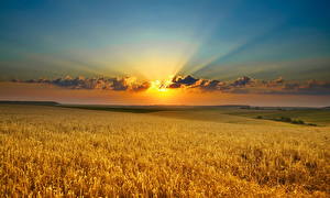 Desktop wallpapers Fields Sunrises and sunsets Sky Clouds Rays of light Horizon Nature