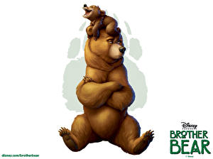 Fonds d'écran Disney Frère des ours Ours Fond blanc Dessins_animés