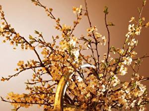 Fonds d'écran Ikebana fleur