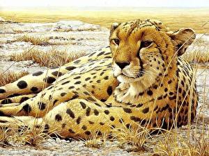 Bureaubladachtergronden Pantherinae Gepard Getekende Dieren